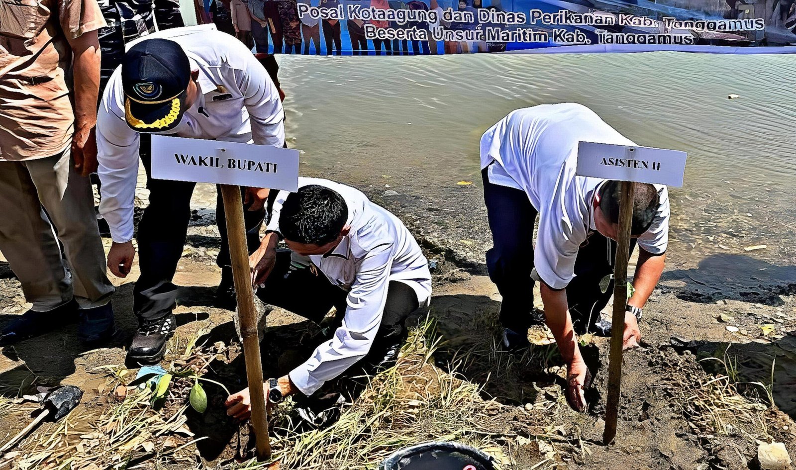 Dinas Perikanan Pimpin Aksi Tanam 500 Mangrove, Serukan Kolaborasi Warga Jaga Masa Depan Lingkungan